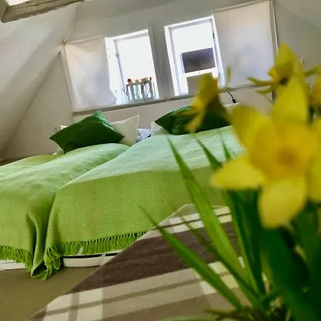 Apartment Remise 2